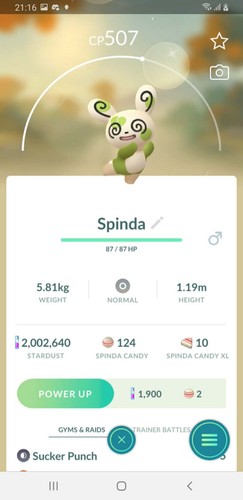 Shiny spinda san - shiny,