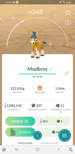 Shiny mudbray registrato o - mudbray,,